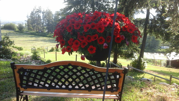 Know Your Farmer Tour