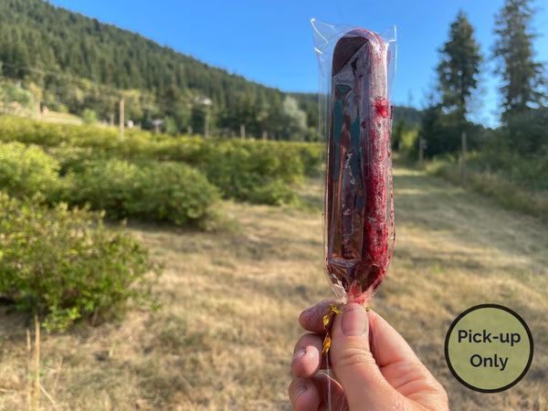 Haskap Berry Freezicle