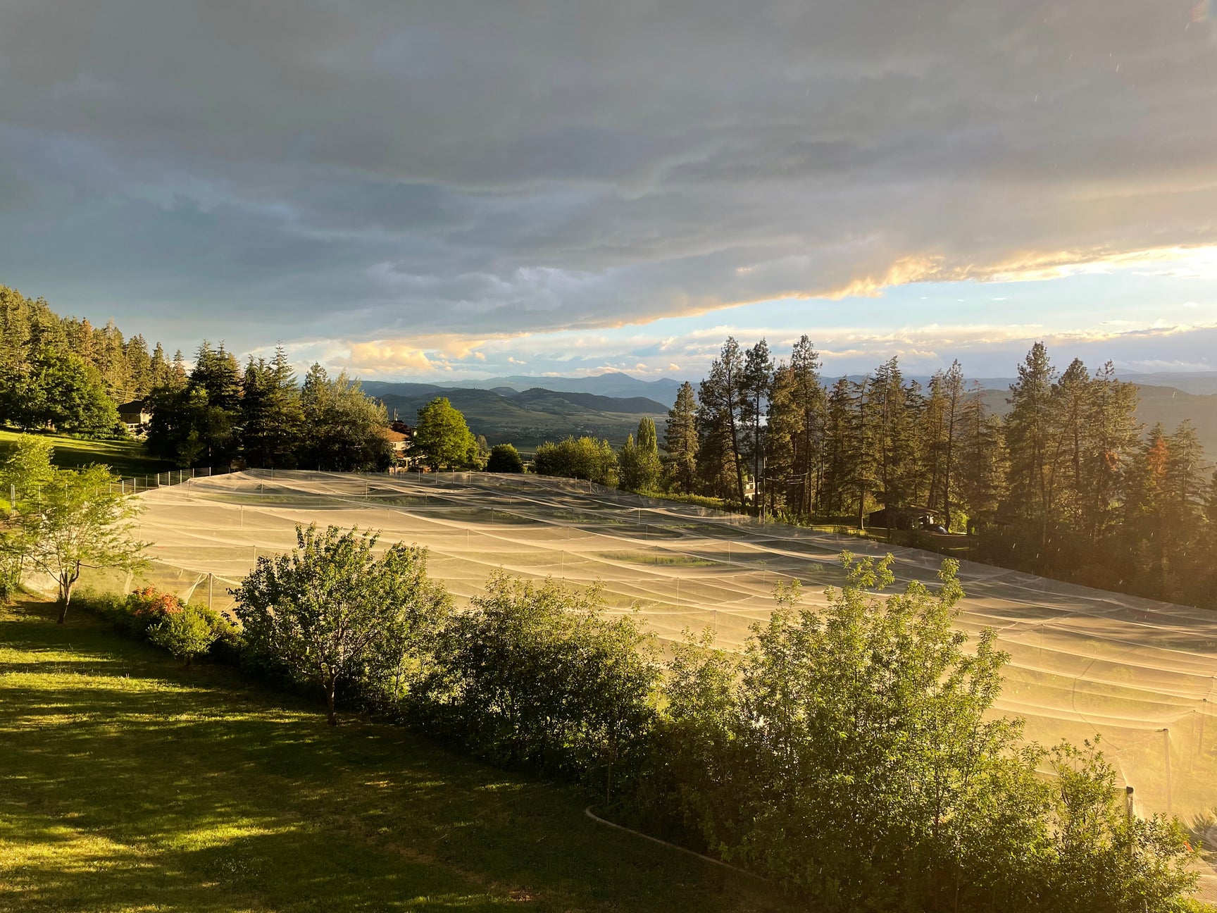 & Tours of our Okanagan haskap berry farm in Vernon, BC Indigo Valley Farm