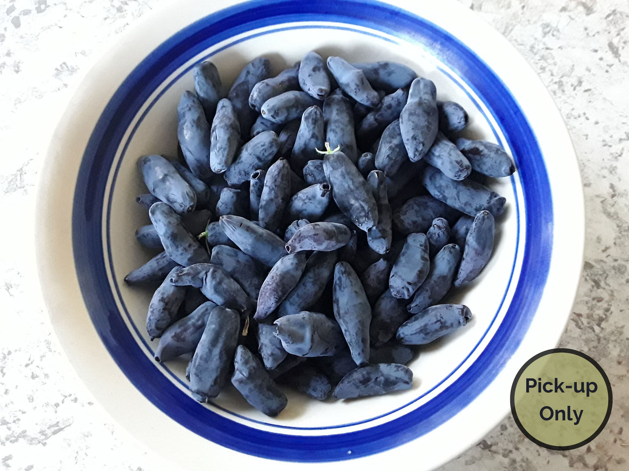 Shop Haskap Berries in Vernon, Okanagan Indigo Valley Farm